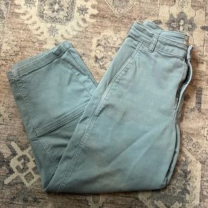Everlane Utility Barrel Pant